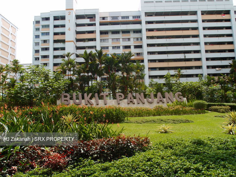 Blk 214 Petir Road (Bukit Panjang), HDB 3 Rooms #187452742